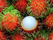 Bata, Nabulunan sa Pagkain ng Rambutan, Patay!