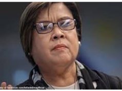 Scandal ni Jim Paredes, tactika, upang e divert ang mga national issue at mga kapalpakan ng administrasyong Duterte – De Lima